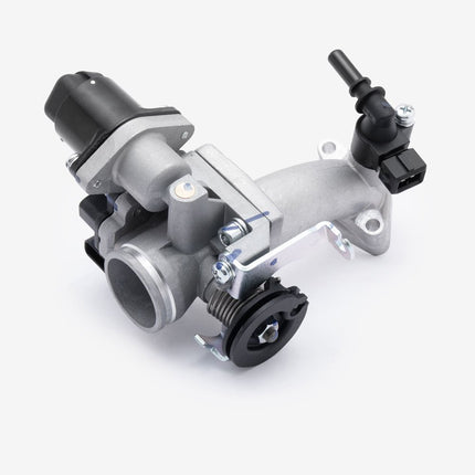 Throttle Body for Lexmoto Diablo 50 E55 [LJ50QT-9M-E55] / L5 [LJ50QT-7E-E55]