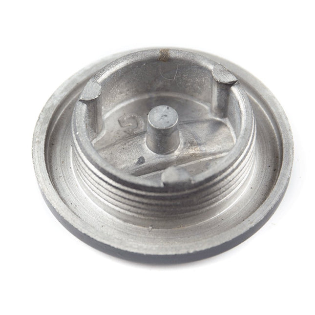 Large Crankcase Cover Plug for LJ250-3V