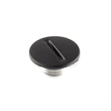 Small Crankcase Cover Plug
