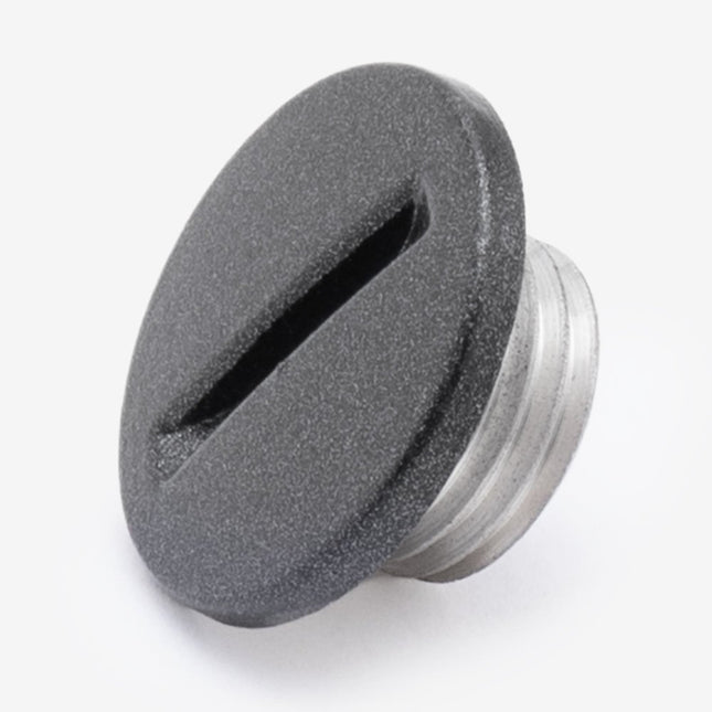 Engine Timing Check Plug