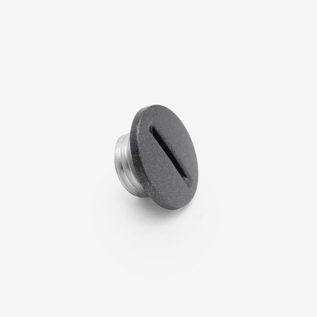 Engine Timing Check Plug