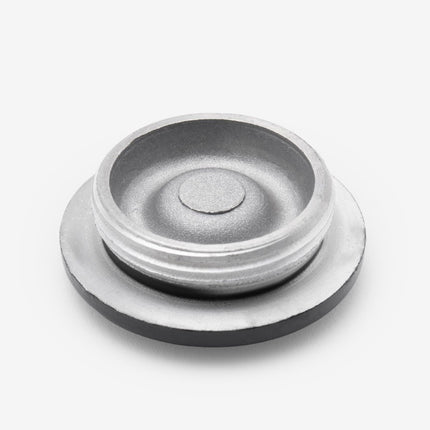 Crankcase Cover Plug