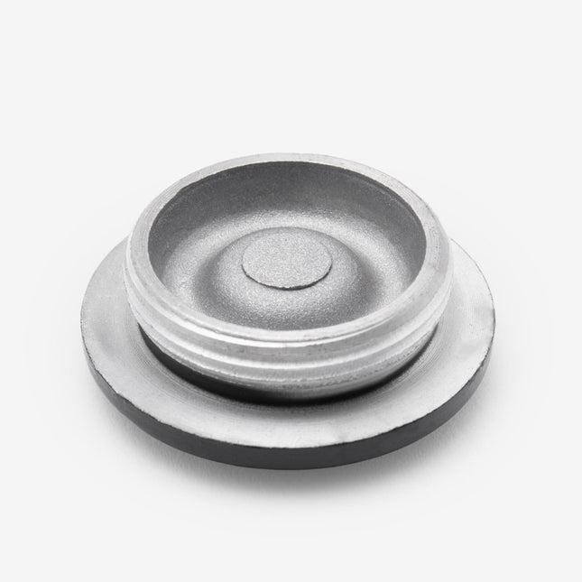 Crankcase Cover Plug