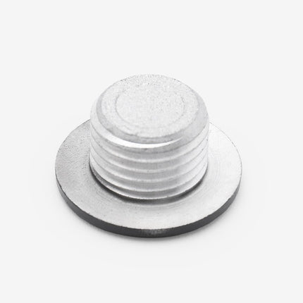 Crankcase Cover Plug Small