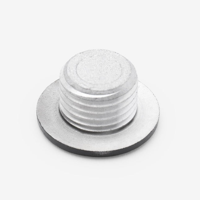 Crankcase Cover Plug Small