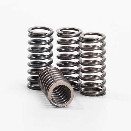 Clutch Springs (set)