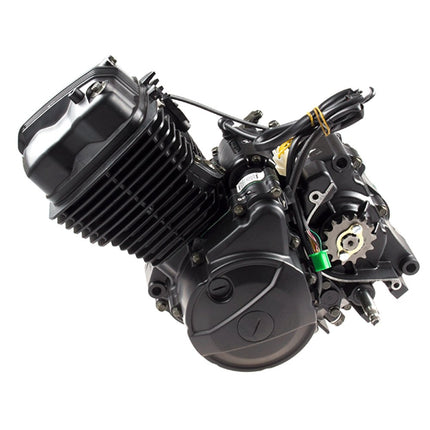 125cc Motorcycle Engine ZY125 for ZS125-48F-E4, ZS125-48E-E4, ZS125-80, ZONET125, ZO