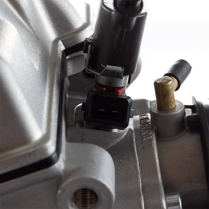 125cc Motorcycle Engine for UM125-SC, UM125-SS, UM125-DSM, UM125-ADV, UM125-DE