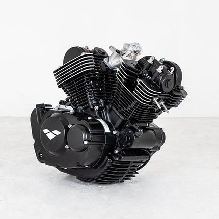 250cc Motorcycle Engine for LJ250-3V