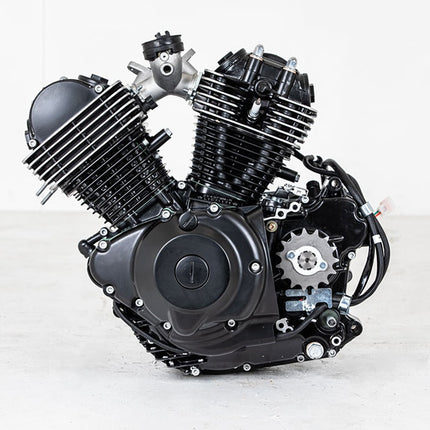 250cc Motorcycle Engine for LJ250-3V