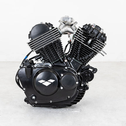250cc Motorcycle Engine for LJ250-3V