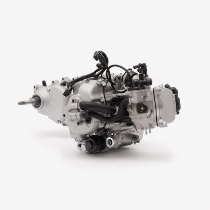 300cc Scooter Engine for LJ300T-18-E5