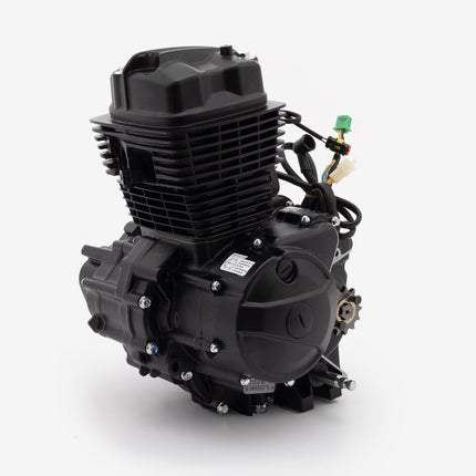 125cc Motorcycle Engine for ZS125-79-E5