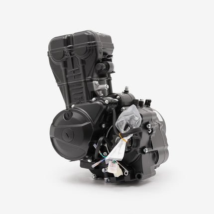 125cc Motorcycle Engine for TR125-3-E5