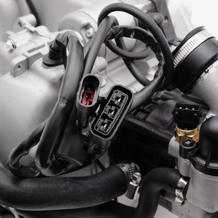 Engine Complete for Lexmoto XDV 300 Euro 5 [LJ300T-18A-E5] / Longjia LJ300T-18A