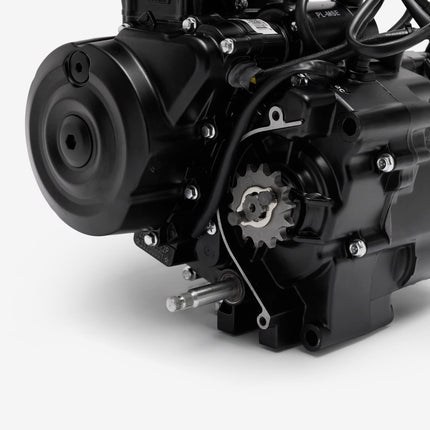 Engine Complete for Lexmoto LS-Z E55 [ZS125-39-E55]