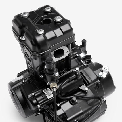 Engine Complete for Lexmoto LS-Z E55 [ZS125-39-E55]