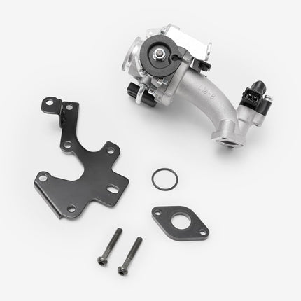 Engine Complete for Lexmoto L5 [LJ50QT-7E-E55]