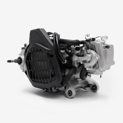 Engine Complete for Lexmoto XDV 125 E55 [LJ125T-18A-E55]