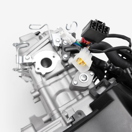 Engine Complete for Lexmoto XDV 125 E55 [LJ125T-18A-E55]
