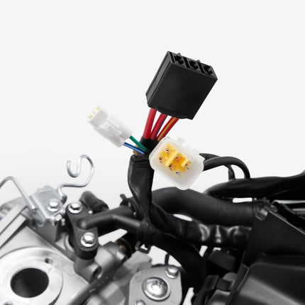 Engine Complete for Lexmoto XDV 125 E55 [LJ125T-18A-E55]