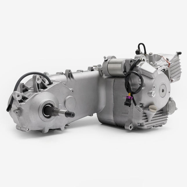 Engine for Lexmoto Pegasus 300 Euro 5 [TR300T-P-E5]