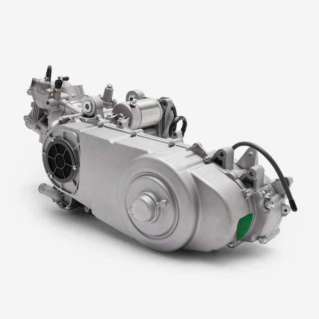Engine for Lexmoto Pegasus 300 Euro 5 [TR300T-P-E5]