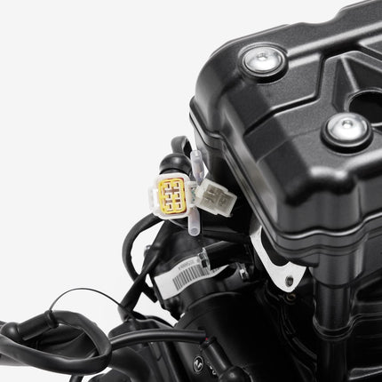 Engine Complete for Lexmoto LXS 125 E55 [TR125-GP2-E55]