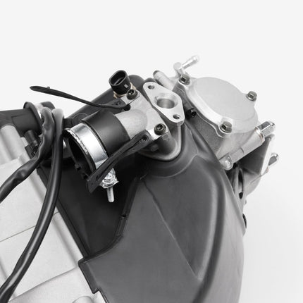 Engine Complete for Lexmoto Diablo 125 E55 [LJ125T-9M-E55]