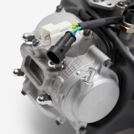 Engine Complete for Lexmoto Diablo 125 E55 [LJ125T-9M-E55]