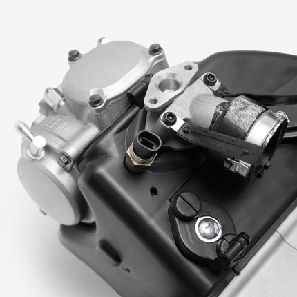 Engine Complete for Lexmoto Diablo 125 E55 [LJ125T-9M-E55]
