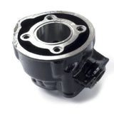 Lextek 70cc Motorcycle Big Bore Cylinder Kit for Aprilia RS50 Rieju RS1 RR50