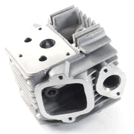 Cylinder Head 1P50FMG for LF100-A