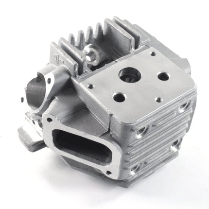 Cylinder Head 1P50FMG for LF100-A
