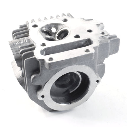 Cylinder Head 1P50FMG for LF100-A