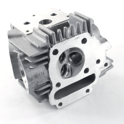 Cylinder Head 1P50FMG for LF100-A