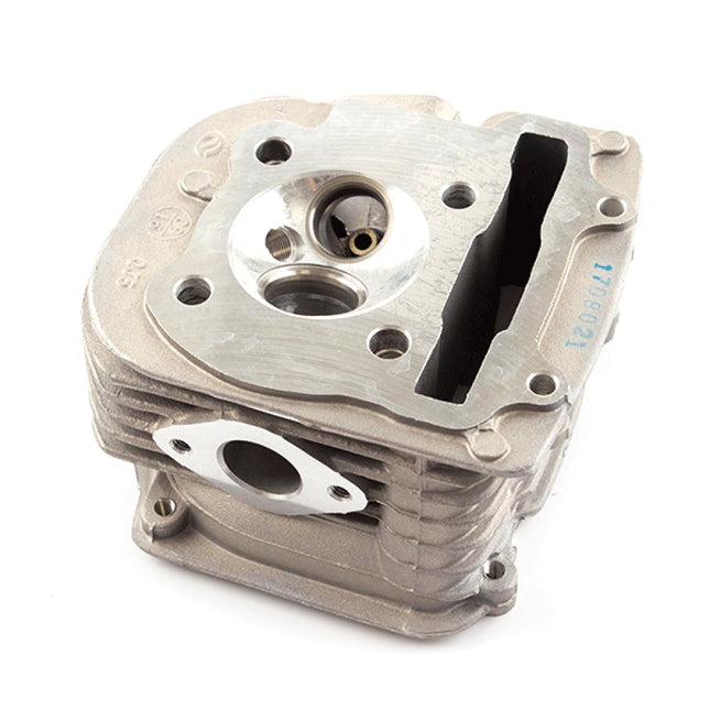 Cylinder Head for Multiple Models
