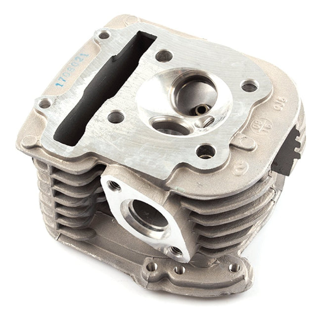 Cylinder Head for Multiple Models