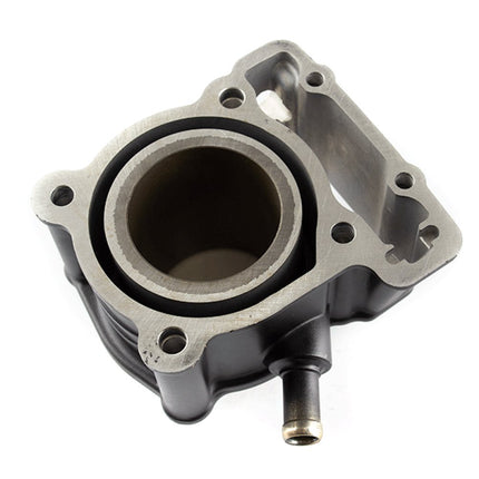 Cylinder for Multiple Models