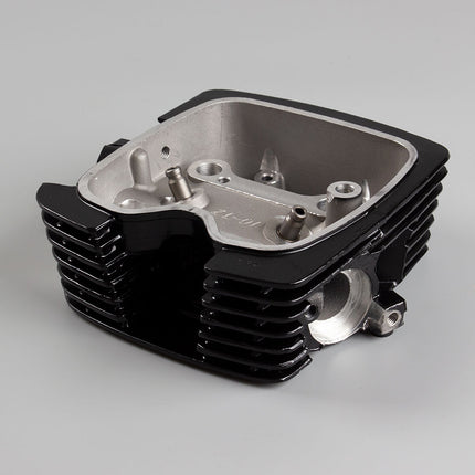 Cylinder Head for Multiple Models