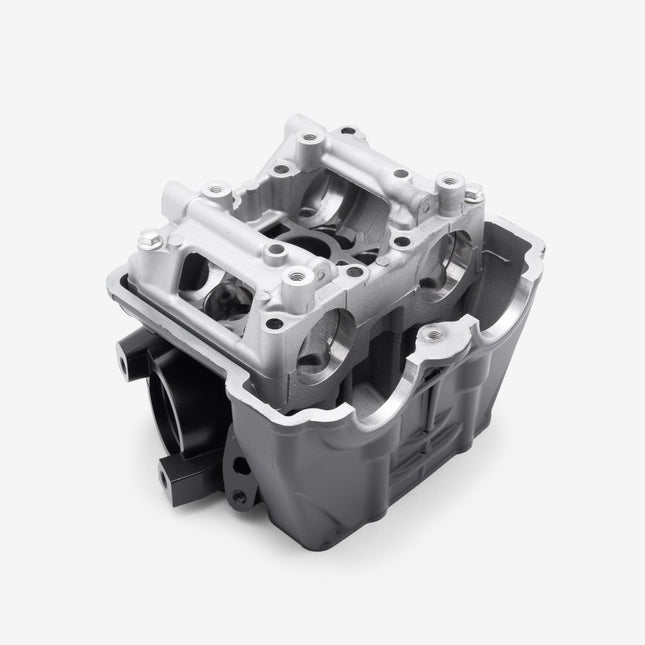 Cylinder Head for Multiple Lexmoto Models