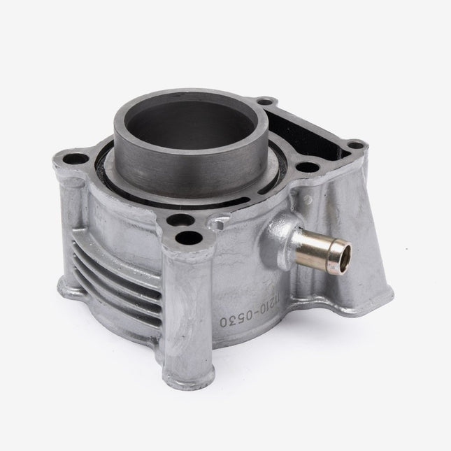 Cylinder for Lexmoto Nexus 125 Euro 5 [TR125T-5-E5] / Taro TR125T-5