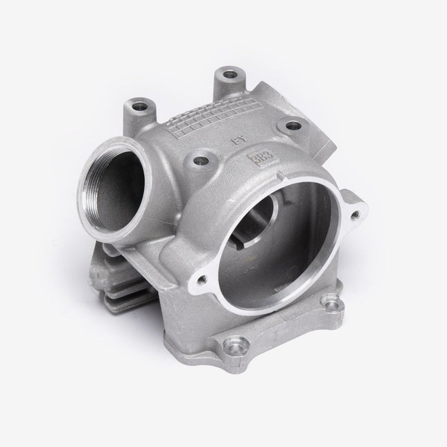 Cylinder Head for Multiple Lexmoto Models