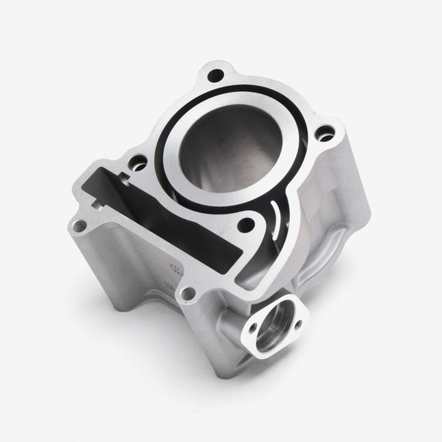 Cylinder for Lexmoto XDV 125 Euro 5 [LJ125T-18A-E5] / Longjia LJ125T-18A