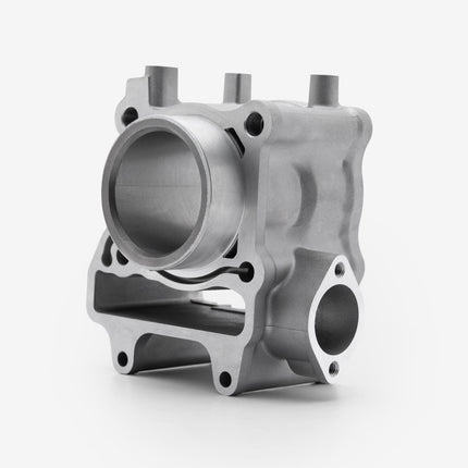 Cylinder for Lexmoto D2 E55 [GC125T-3A-E55] / XDV 125 E55 [LJ125T-18A-E55]