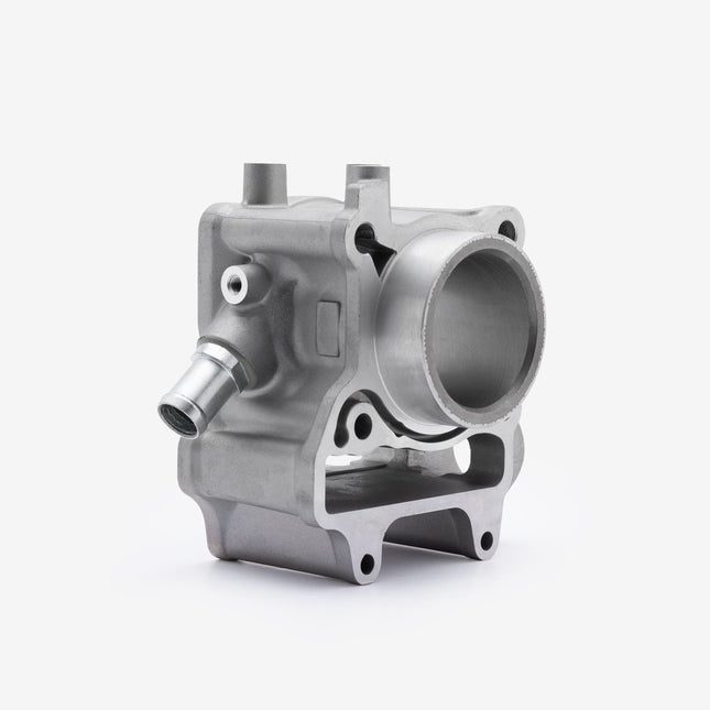 Cylinder for Lexmoto D2 E55 [GC125T-3A-E55] / XDV 125 E55 [LJ125T-18A-E55]