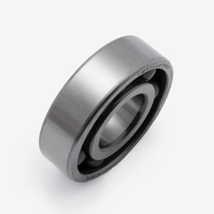 Input  Shaft Bearings 6204