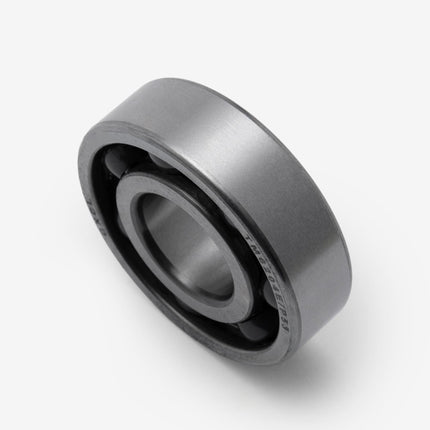 Input  Shaft Bearings 6204