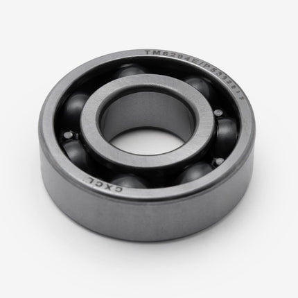 Input  Shaft Bearings 6204