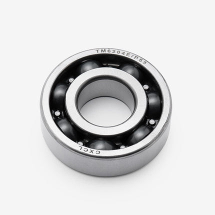 Input  Shaft Bearings 6204